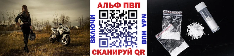 как найти закладки  Курчалой  А ПВП СК 
