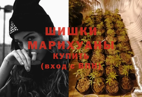 шишки Алексеевка