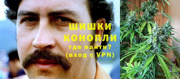 шишки Алексеевка
