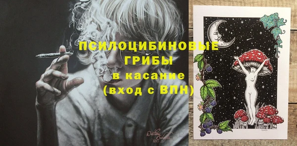 шишки Алексеевка
