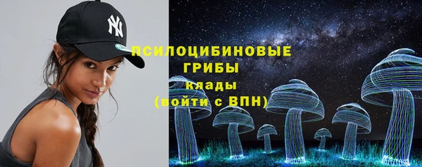 ПСИЛОЦИБИНОВЫЕ ГРИБЫ Алексин
